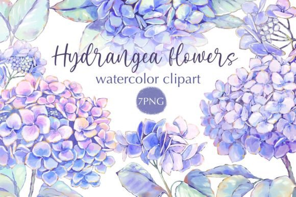 Download Hydrangea Flowers Watercolor Clipart - Hydrangea flowers Collection