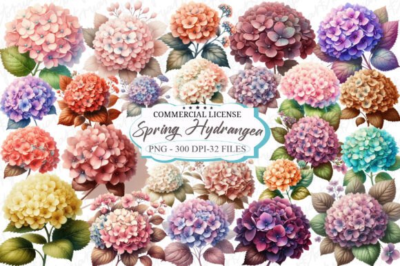 Download Watercolor Spring Hydrangea Flowers - Hydrangea flowers Collection