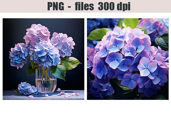 Download Hydrangea Flowers Print - Hydrangea flowers Collection