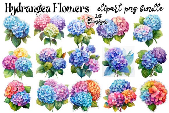Download Hydrangea Flowers Clipart PNG - Hydrangea flowers Collection