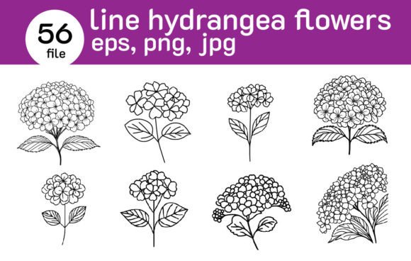 Download Line Hydrangea Flowers 56 - Hydrangea flowers Collection