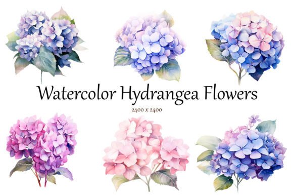 Download Watercolor Hydrangea Flowers Clipart - Premium Resources